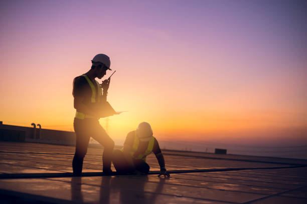 Best Sealant for Roof  in North Branch, MI
