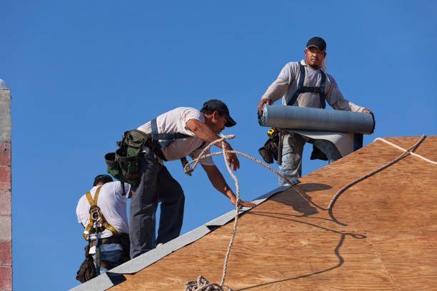 Best Roof Leak Repair  in North Branch, MI