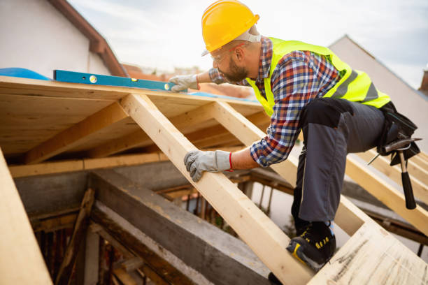 Best Roof Maintenance Services  in North Branch, MI