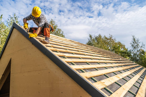 Roof Repair Estimates in North Branch, MI