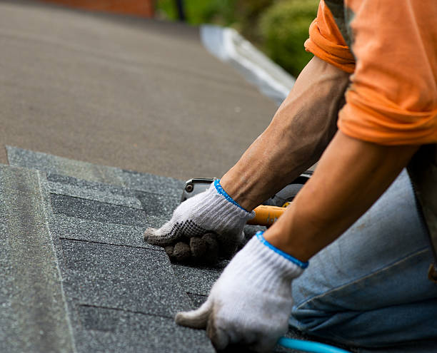 Best New Roof Installation  in North Branch, MI