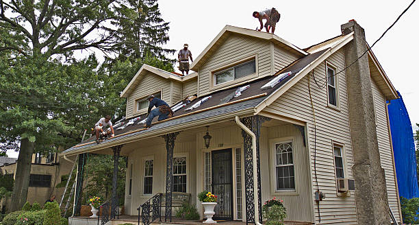 Best Metal Roofing Contractor  in North Branch, MI