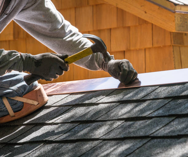Best Local Roofing Companies  in North Branch, MI